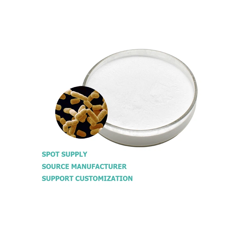 Lactobacillus salivarius